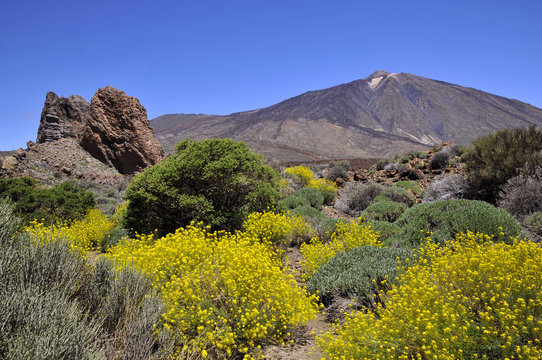 Mount Teide at Canary island