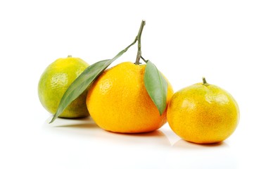 Mandarins orange