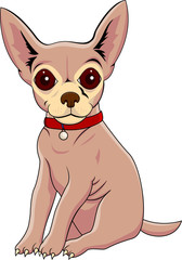 Chihuahua cartoon