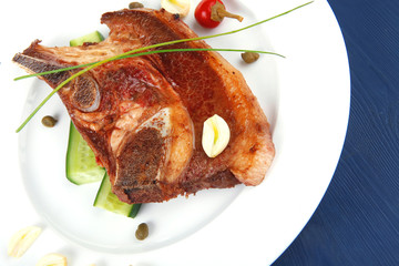 beef meat fillet