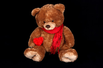 Lovely teddy Bear