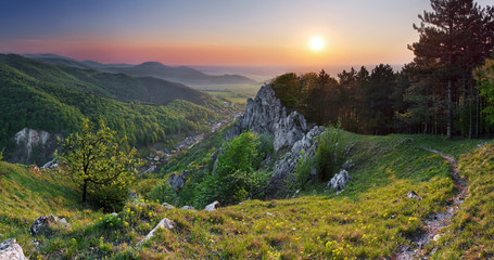 Green forest mountain at sunset with sun - obrazy, fototapety, plakaty