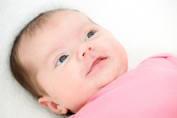 Portrait newborn baby lying in bed