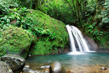 Fototapeta premium Kaskada w tropikalnym lesie