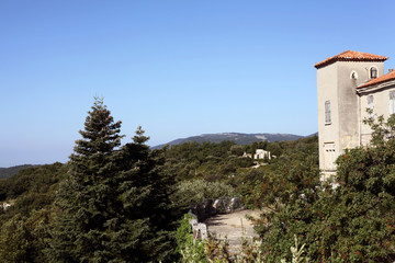 Fototapeta premium Soleil Provençal