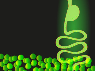 Digestion concept