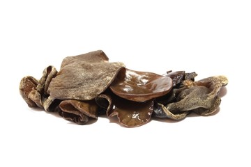 Mu-Err / Black Fungus / Ohrlappenpilz freigestellt