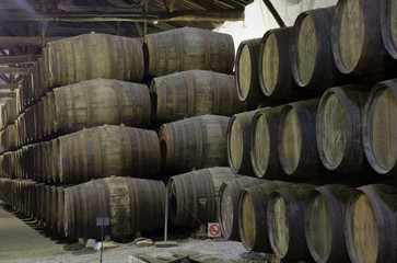 cellar with wine barrels