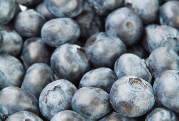 blueberries