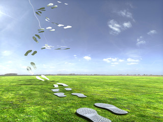 sky steps