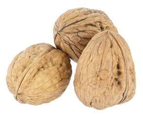 Group of Walnuts isolated on white background