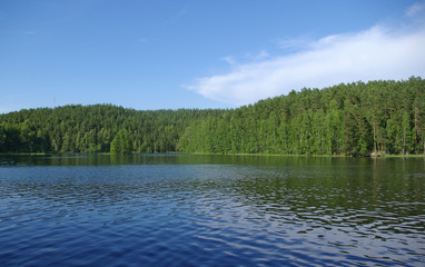 Obraz premium Forest lake
