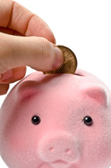 Coin and piggy bank