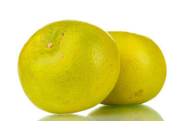 two green grapefruits isolated on white