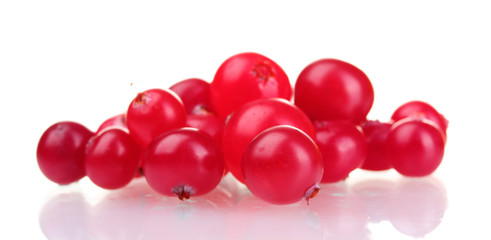 fresh cranberries isolated on white