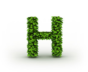 Letter H, alphabet of green leaves