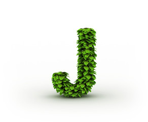Letter J, alphabet of green leaves