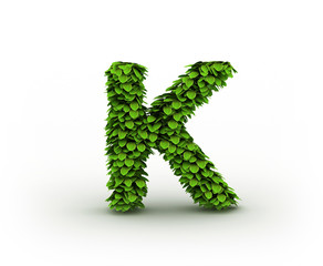 Letter K, alphabet of green leaves