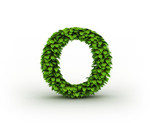 Letter O, alphabet of green leaves isolated on white background