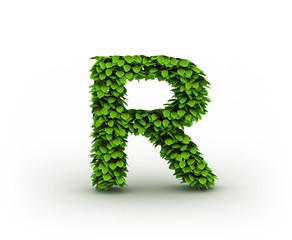 Letter R, alphabet of green leaves isolated on white background