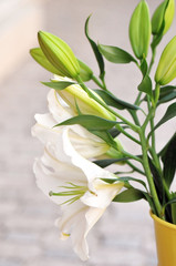 bouquet of fresh flower. (background)