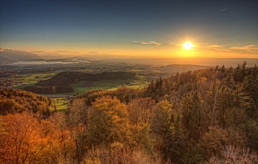 Fototapeta na wymiar Herbst im Sihlwald