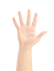 Open man hand or number five