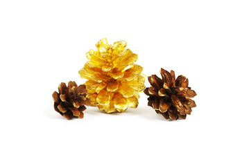 two pine cones and one golden cone over white background with sh
