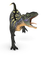 Fototapeta premium Dinosaur - Aucasauras
