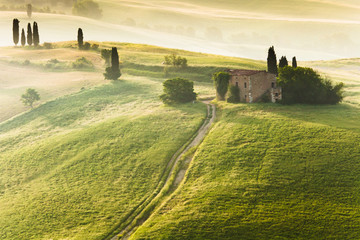 Early morning on countryside in Tuscany - 38766192