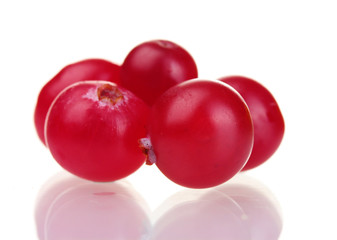 fresh cranberries isolated on white