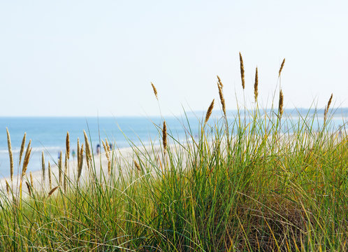 Am Meer - At the Beach