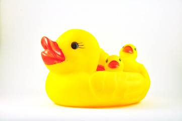 yellow duck toy