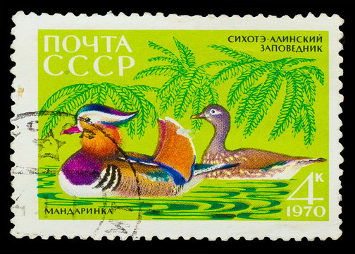 USSR - CIRCA 1970: A stamp printed in USSR, show mandarin duck t