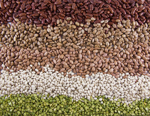 Row of Dried Beans