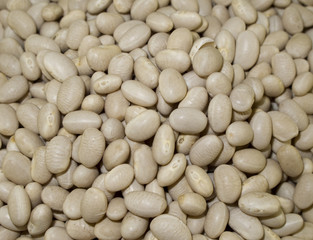 Navy Beans