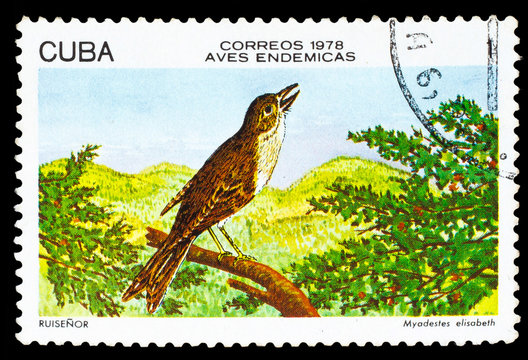 CUBA - CIRCA 1978: A stamp printed by Cuba, shows Bird Cuban Sol