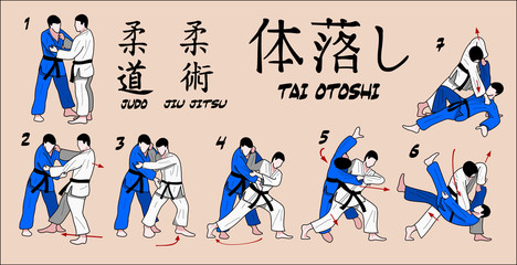 Martial Art Technique - obrazy, fototapety, plakaty
