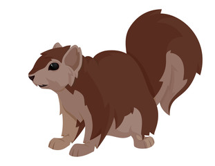 Vector Squirrel