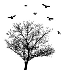 vector tree silhouette with birds
