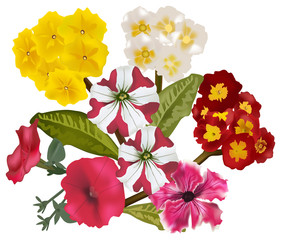 bunch of bright flowers on white