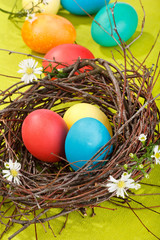 Easter eggs in a nest