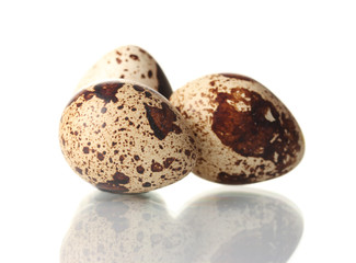 three quail eggs isilated on white