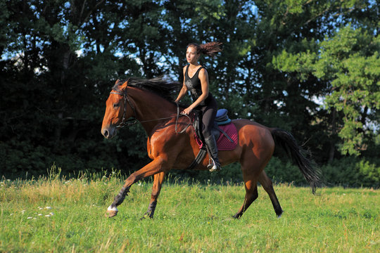 Girl horseback riding in the evening forest