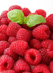 raspberries with leaves on white background