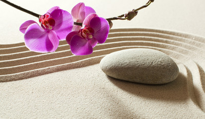 simplicity purity aesthetics beauty