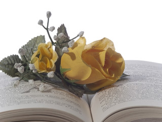 Rose gialle sopra un libro