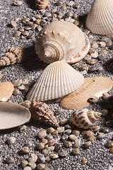 Strand und See © codiarts