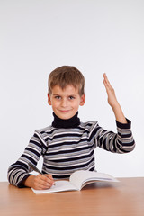 Cheerful Schoolboy ready to answer question