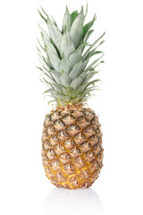 Pineapple on white, clipping path included